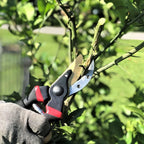 LANSGA Pruning Shears, Garden 8" Professional, Titanium Black