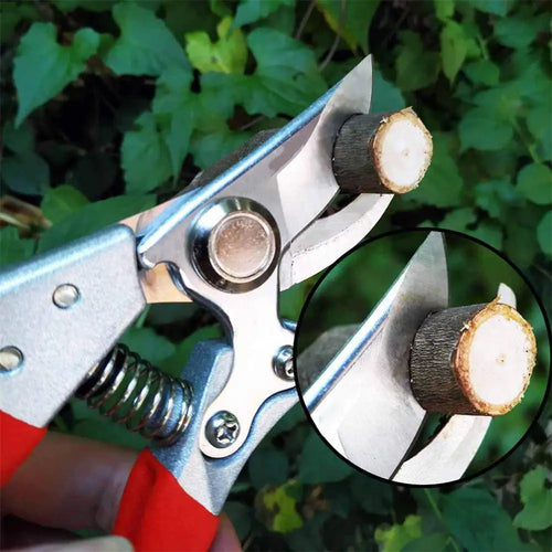 LANSGA 2 in. Pruning Shears 1 in. Cutting Capacity, Red Professional Bypass
